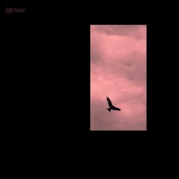 'Kuruka' VA: el nuevo vuelo en vinilo de Lyree Records: ¡JudaΣ Première! [1/2]